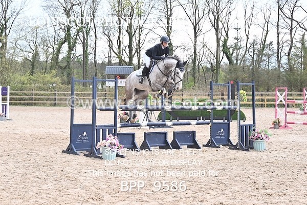 BPP_9586 - CLASS 6 Senior Foxhunter/ 1.20m Open