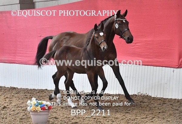 BPP_2211 - AFTERNOON 12.30 - 3.30PM