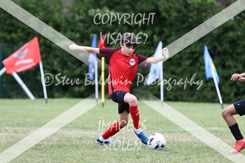 1DX31019 - Brook Field V Goddard Park