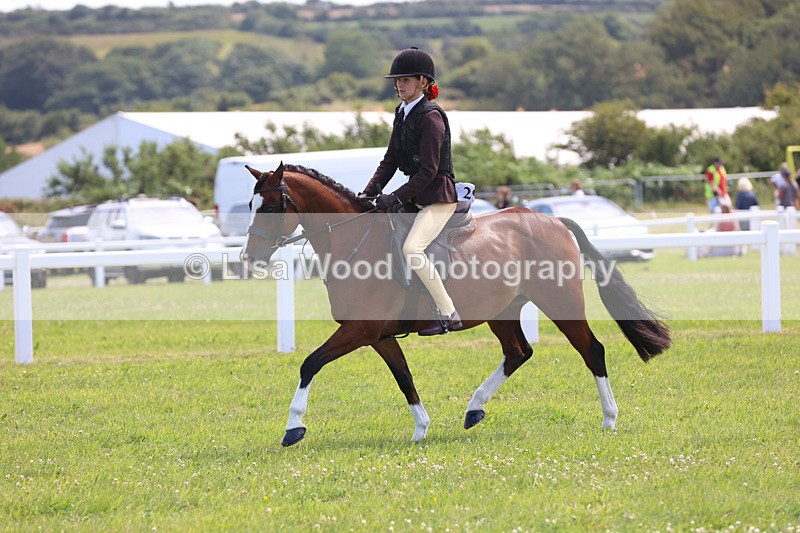 JPP_2632 - Class 21: Working Hunter 60cm