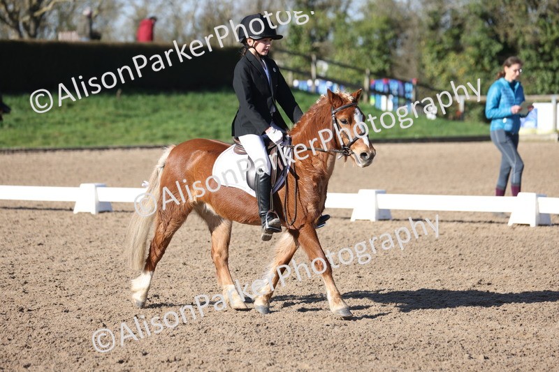 20260214-0356 - Class 4 - Novice 2