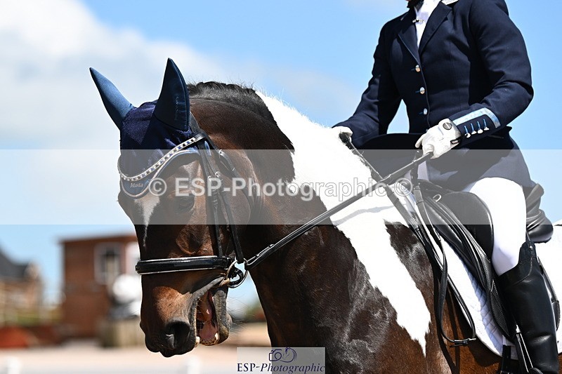 240621A-135531-04181 - Cls 8 BD Elementary 53