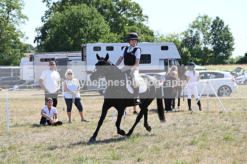 WJ6_8916 - Class 38 Ridden Riding Horse/Pony