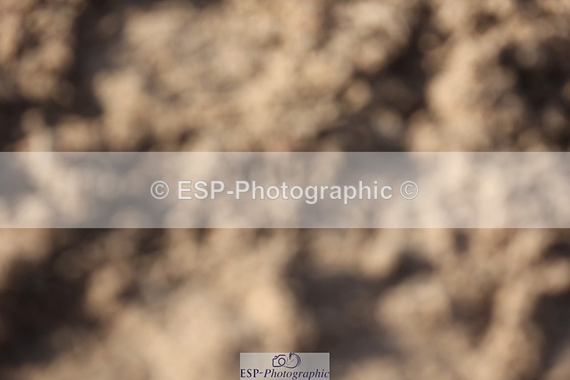 241201X-121055-01014 - Classes 06-09 Jnr 110-115-120-125