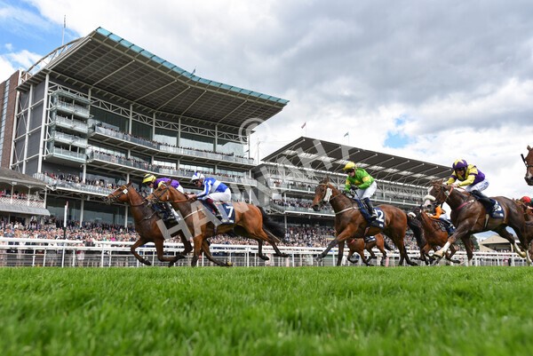 yr21052022r3-16 - Race 3: 3:30pm William Hill Best Odds Guaranteed Stakes