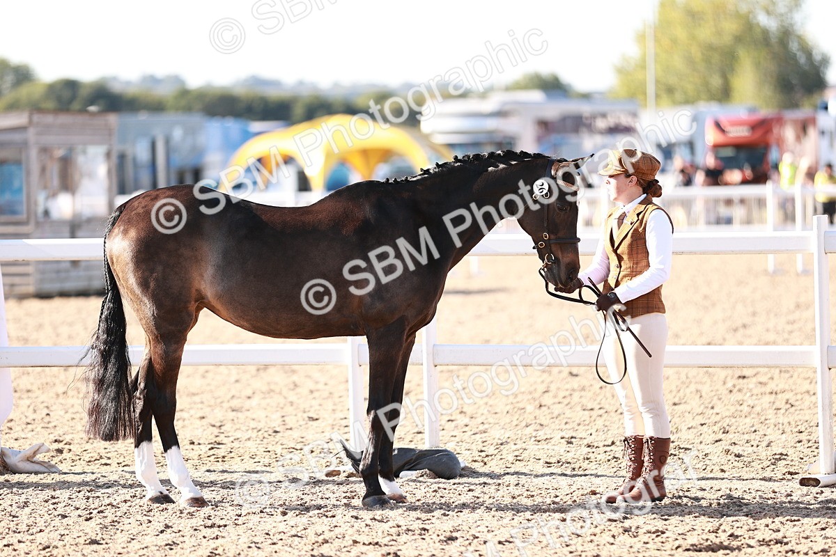 SBM_11363 - Class 402 - IH  Veteran pony