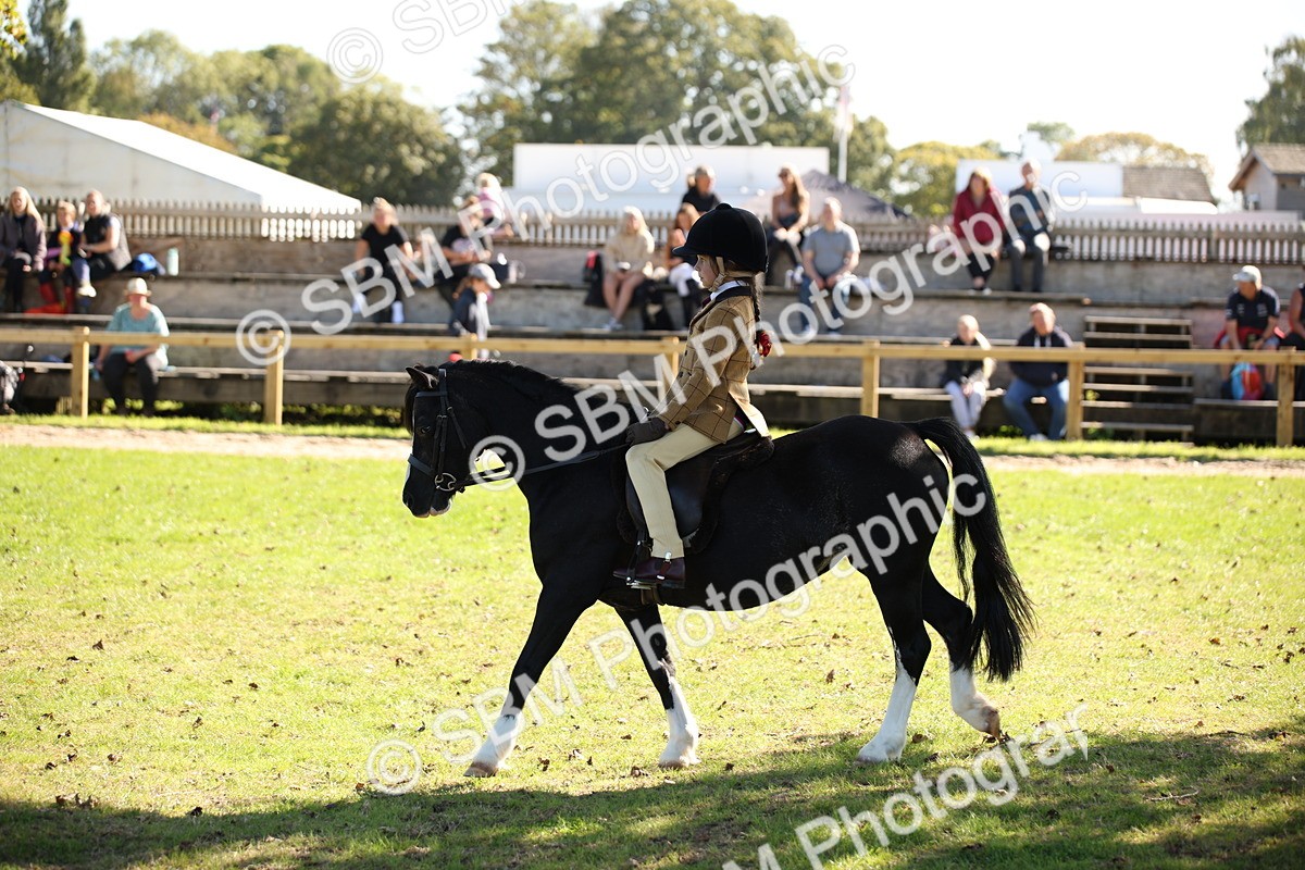 SBM_39002 - S11 - Best Ridden Horse & Pony