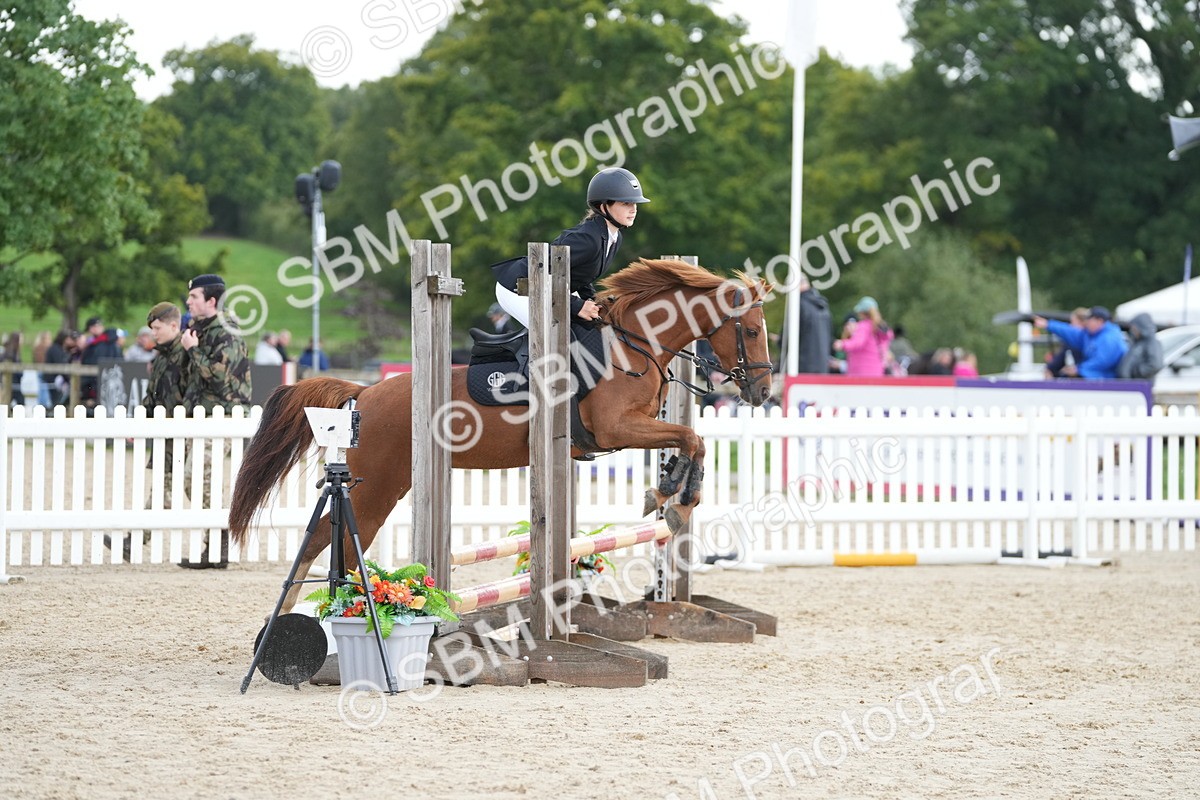 SBM_40008 - J6 - Junior Pony 55cm Championship