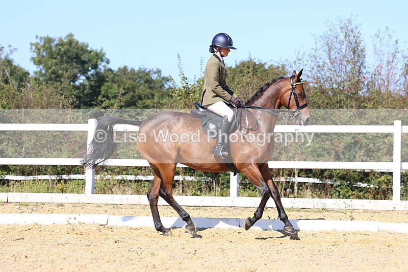 3E7A5699 - Class 10: Riding Horse