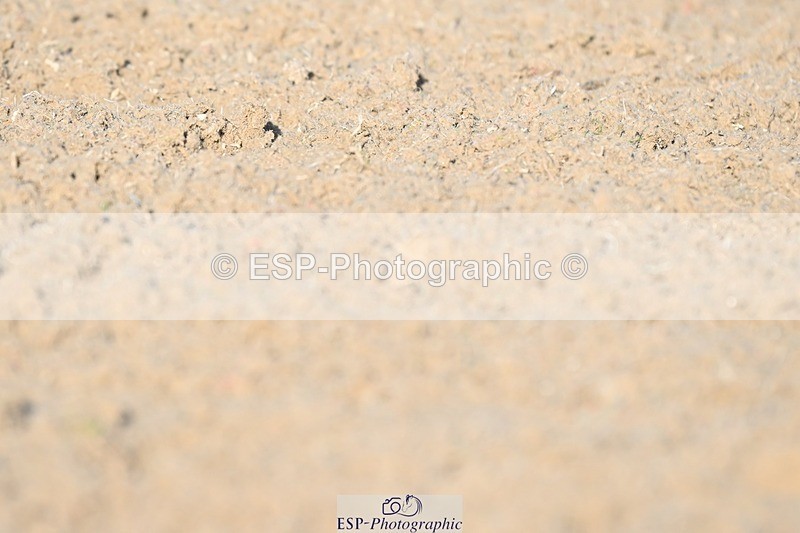 231105-140417-01983 - Cls 4 Novice 24 Start to 15.17 break