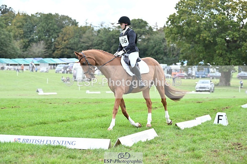 231020-152815-11482 - 686-MOORLAND.MAGIC-Charlotte.Chard-DR