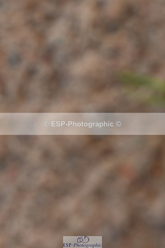 231104A-144803-00909 - Cls 18 FEI PSG