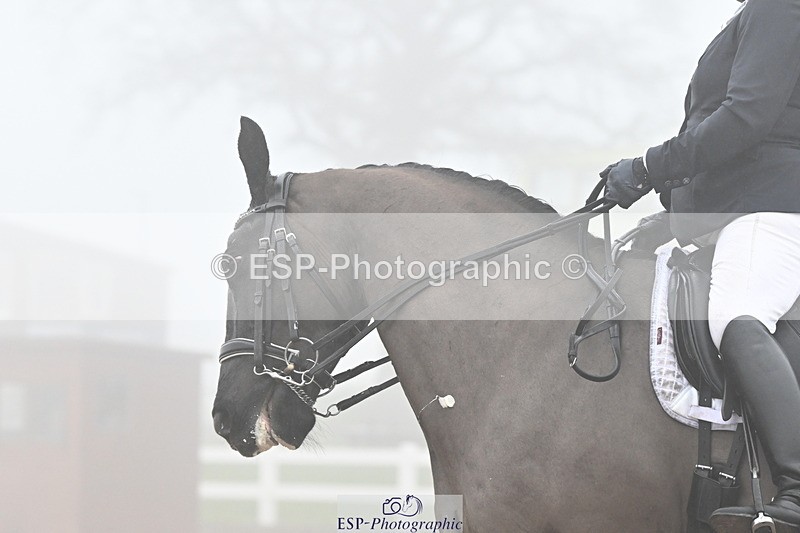 240217A-135632-03510 - 235-Katherine.Davis-Ex.Lunar.Sea