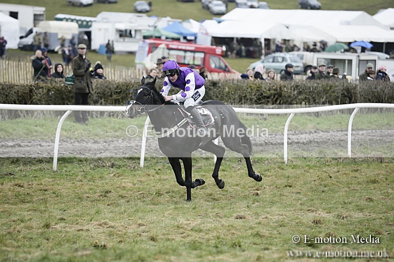 PtP 020418 -479 - Old Berks Point-to-Point Races Easter Monday 02/04/18