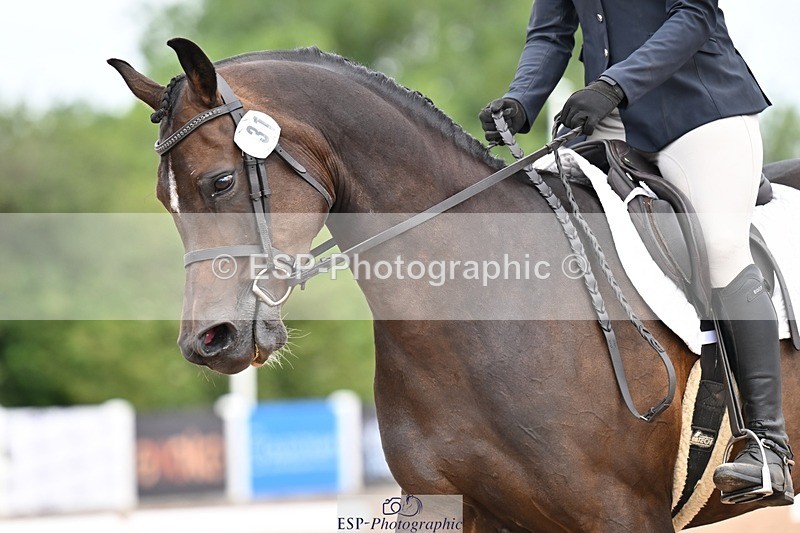 260704-113027-04428 - Cls 2D Senior Grassroots BRC Prelim B