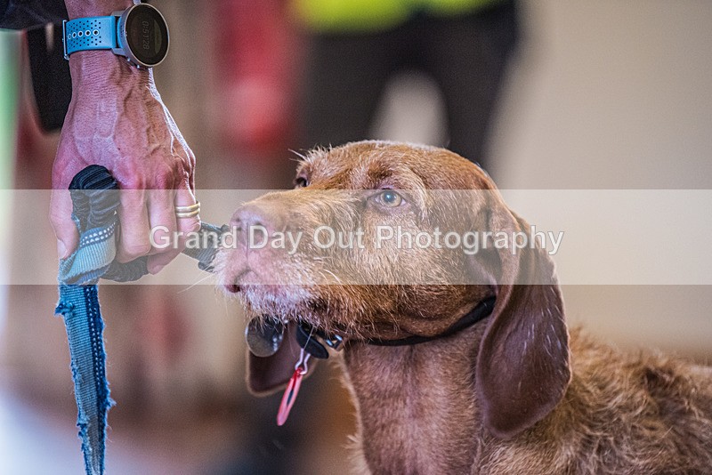 Stybarrow Dodd-38 - Kong Running Stybarrow Dodd Fell Race Saturday 4th November 2023