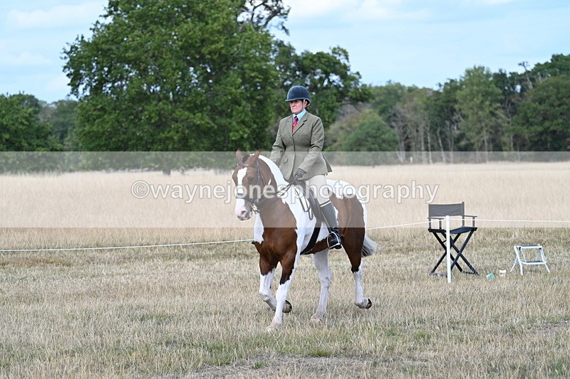 WJ7_7172 - Class 14 Ridden Coloured