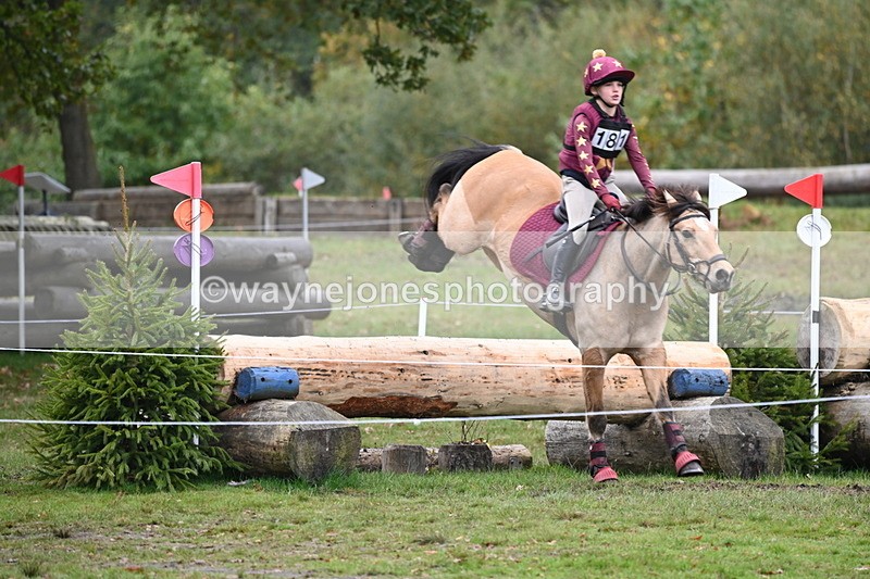 WJ6_3041 - 80cm Cam 1 Pairs Time 12:19 to 12:49