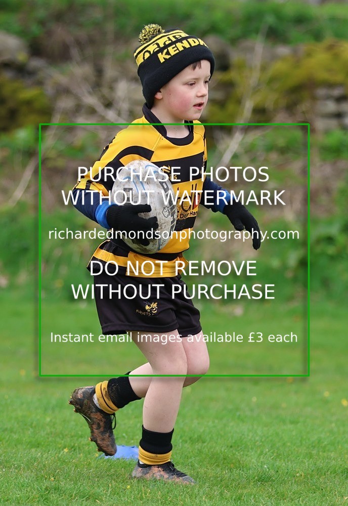 533A5211 - Kendal Rugby Under 7's (12/4/26)