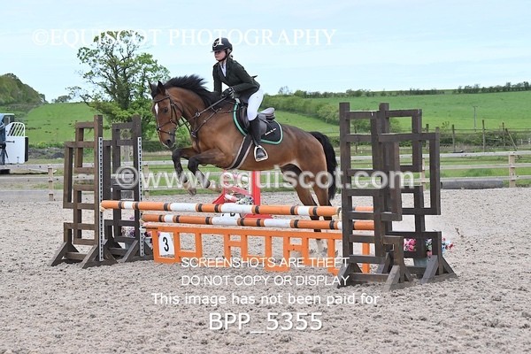 BPP_5355 - CLASS 1 Clear Round Show Jumping