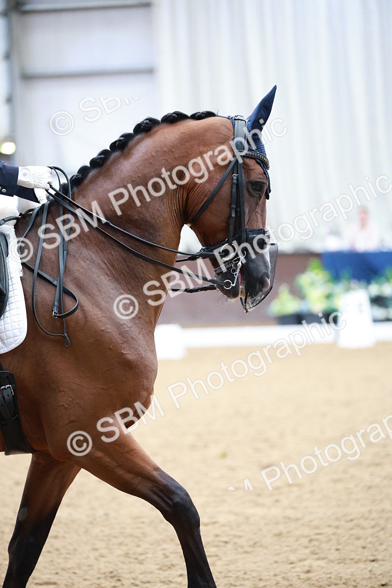 SBM_009448 - Class 13 - FEI PSG - 11.06-12.34