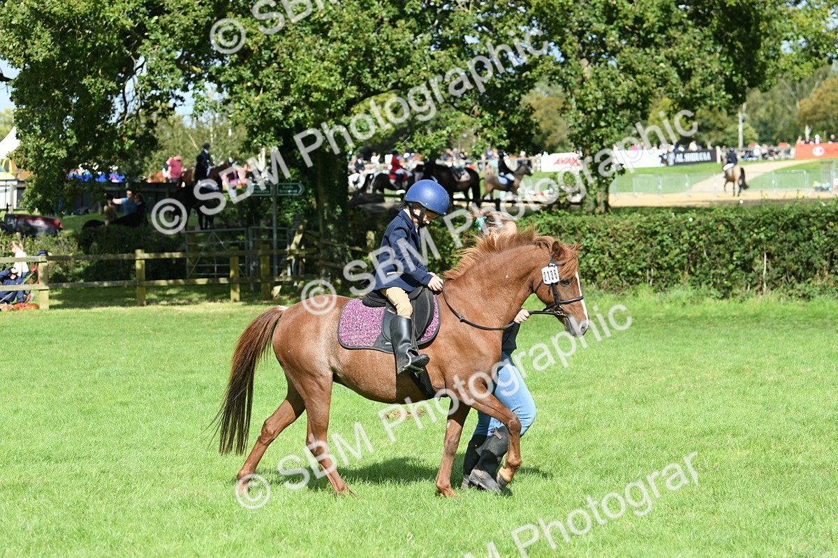 SBM_47166 - S12 - Family Horse & Pony