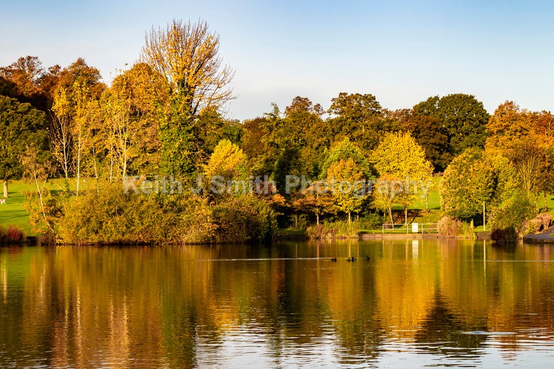 4KJS0371 - Trees in Abington Park