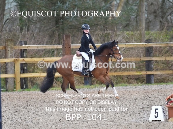 BPP_1041 - CLASS 1 Club/ Unaffiliated 60cms Open