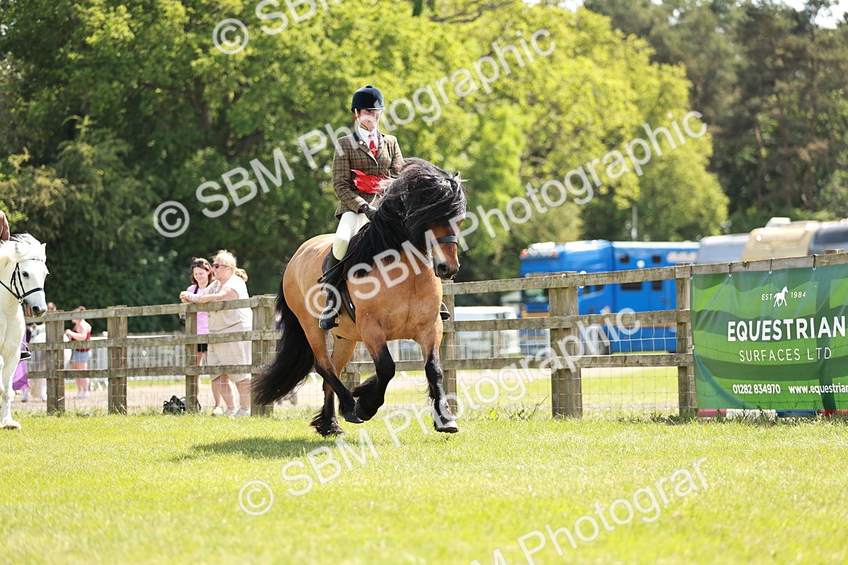 SBM_07220 - Class 26-30 - Mountain and Moorland Ridden