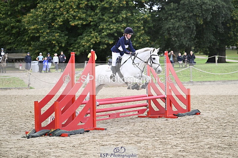 251005A-120052-03580 - Cls 08 Mini 70-75cm