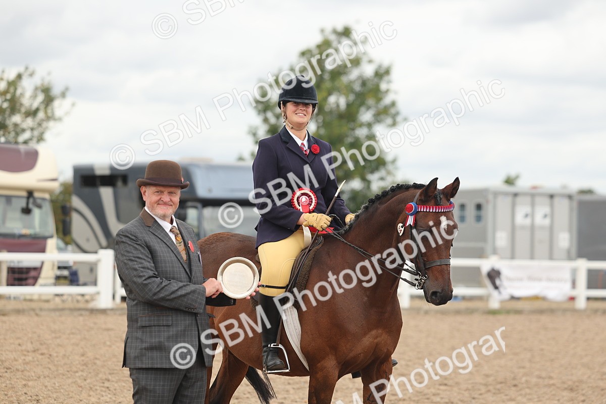 SBM_16069 - Class 311 - Ridden Show pony-Show hunter Pony