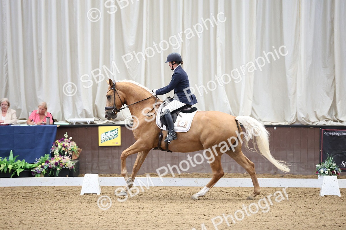 SBM_002076 - Class 5 - Novice 6 Gold - 9.00-10.10