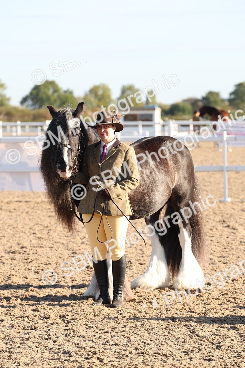 SBM_10796 - Class 201 - Best Turned Out - IH