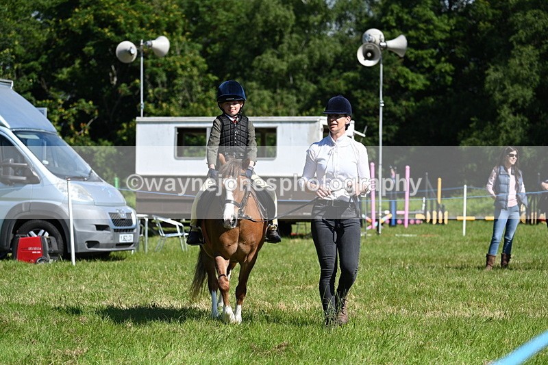 WJ7_0729 - Class 8 First Rally Pony