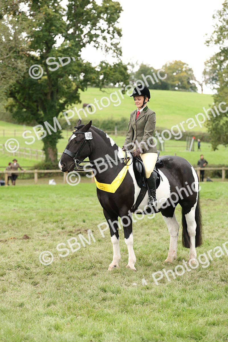 SBM_67319 - S67 - Piebald & Skewbald Horse Ridden