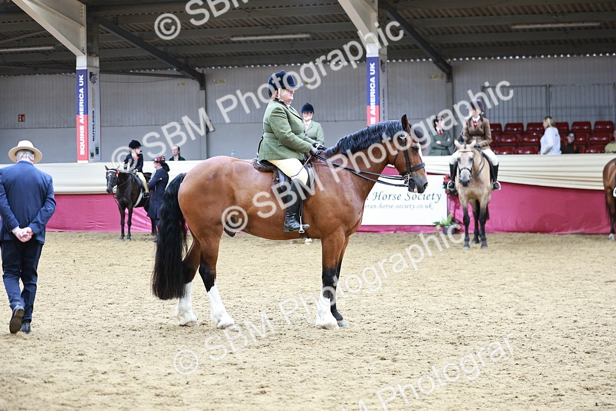 SBM_03611 - Class 6A Area Ridden Pre-Vet