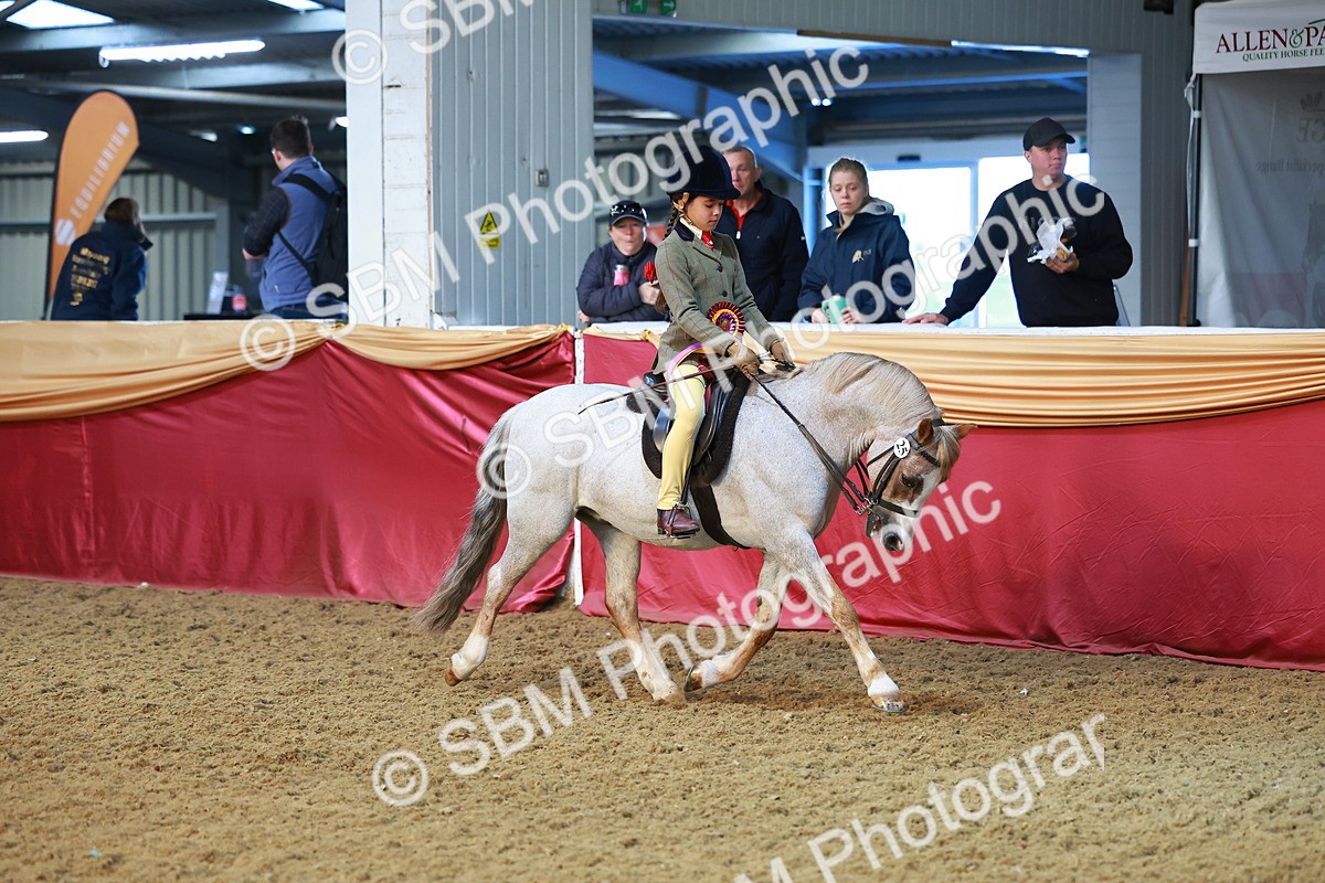 SBM_07777 - Class 101 - HOYS Veteran Qualifier - Ridden Diamond