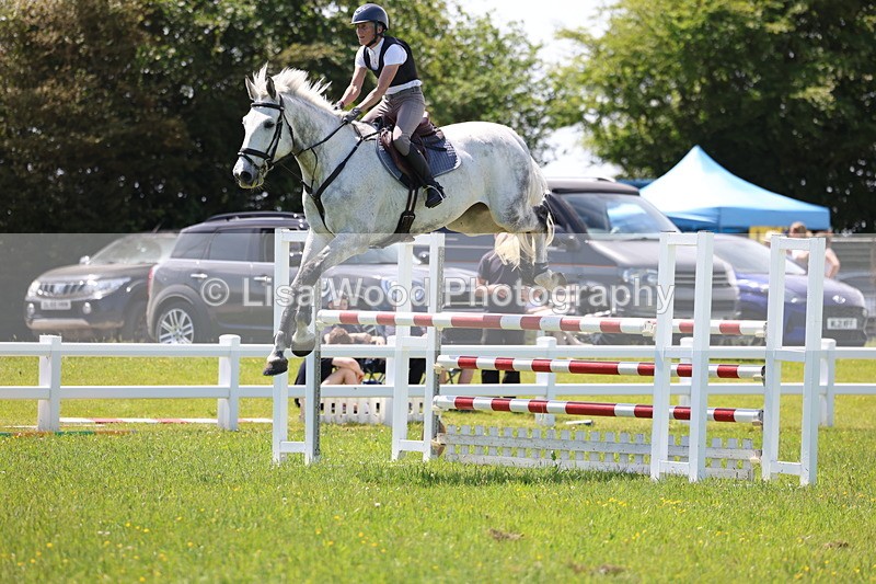 3E7A1250 - Class 12: Senior Foxhunter/1.20 open