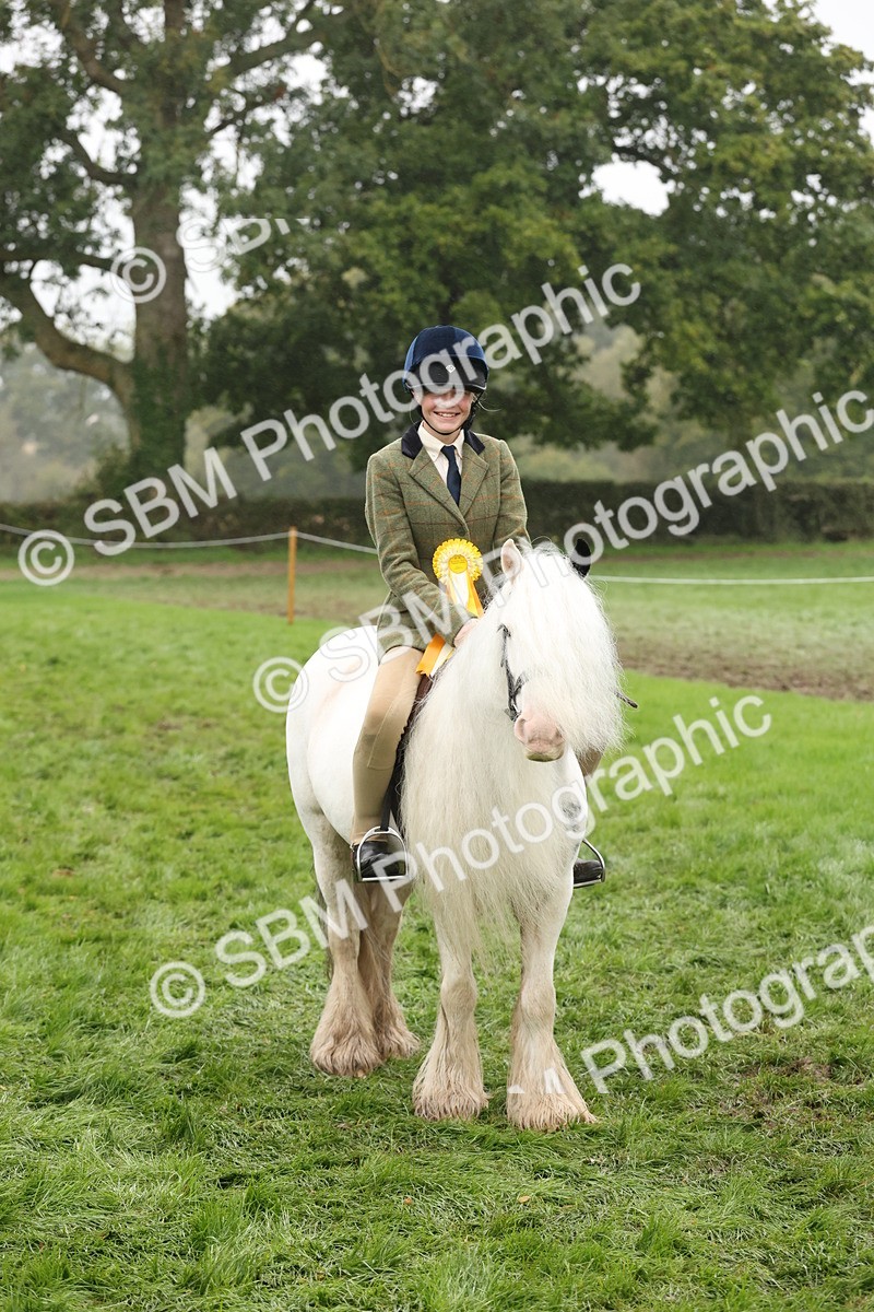 SBM_72872 - S70 - Traditional Cob Ridden
