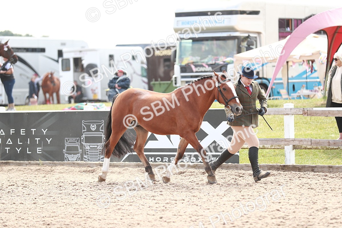 SBM_13837 - Class 209 IH Veteran Pony