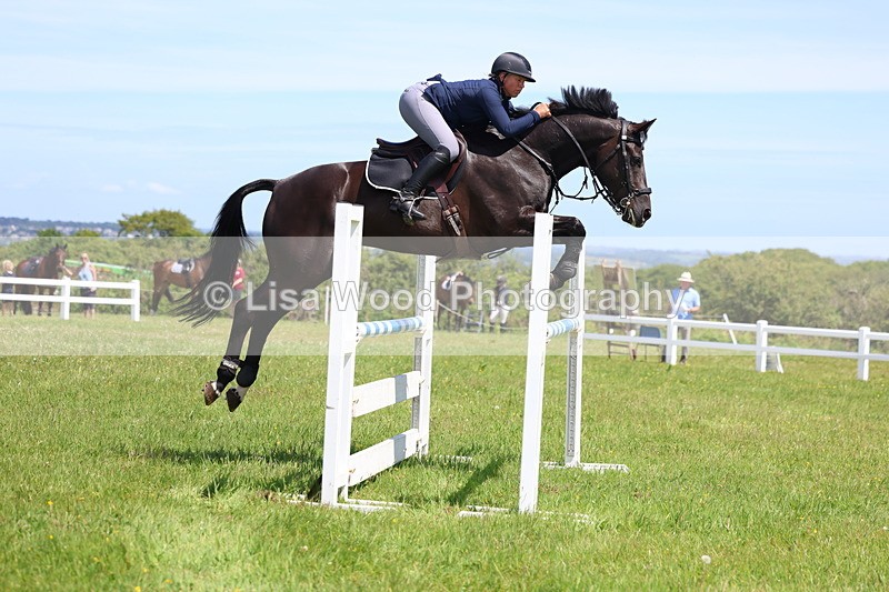 3E7A1204 - Class 12: Senior Foxhunter/1.20 open