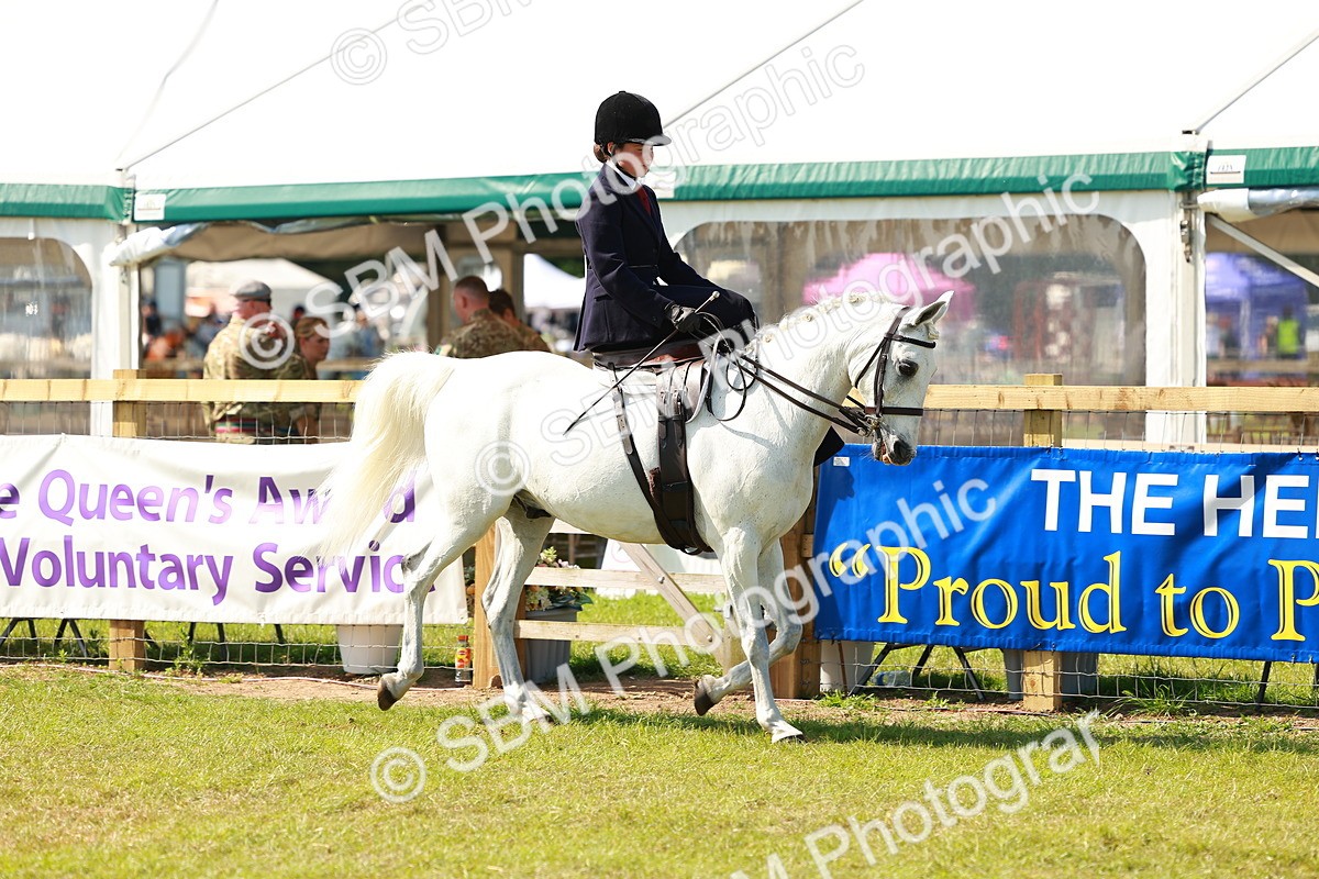 SBM_13123 - Class 70-71 - Side Saddle