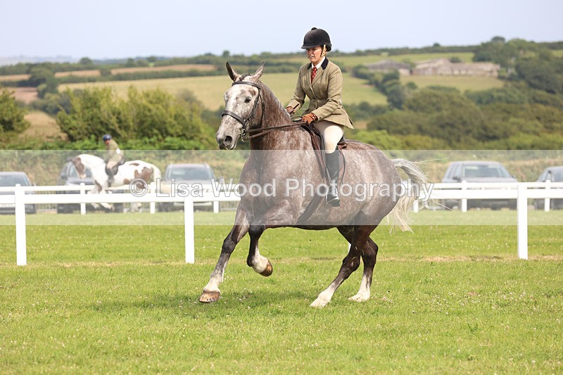 JPP_4083 - Class 24: Working Hunter 90cm