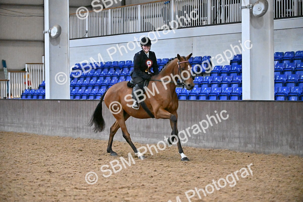 SBM_003072 - Class 37,38 - UKPSAF Performance Horse & Pony