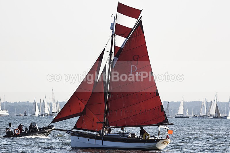 140621 P20 IOW013DC - ROUND THE ISLAND - 21st June 2014