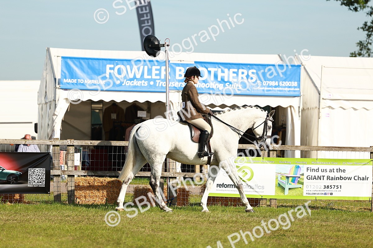SBM_10865 - Class 66-69 - RIHS Ridden Hunters Inc Small Hunter