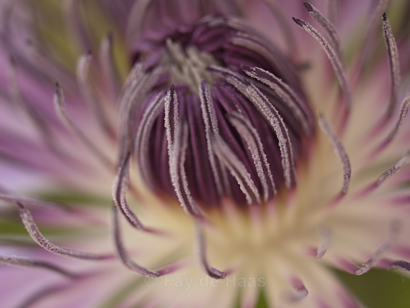  - Nature's Wonders
