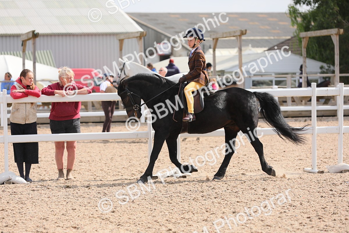 SBM_14718 - Class 310 First Ridden Pony