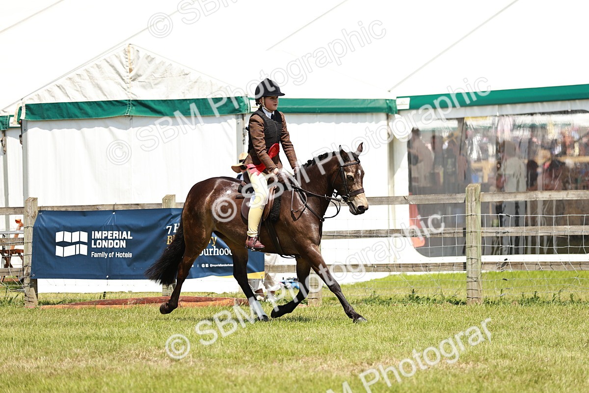 SBM_15747 - Class 108-109 - BSPS LIHS Open Gradle & Nursery Stakes