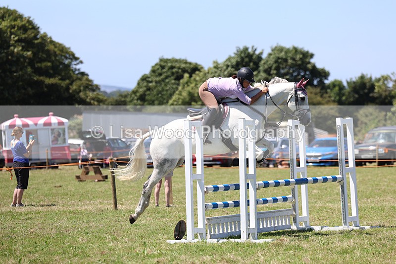 3E7A5649 - Class 9: Senior British Novice/90cm open